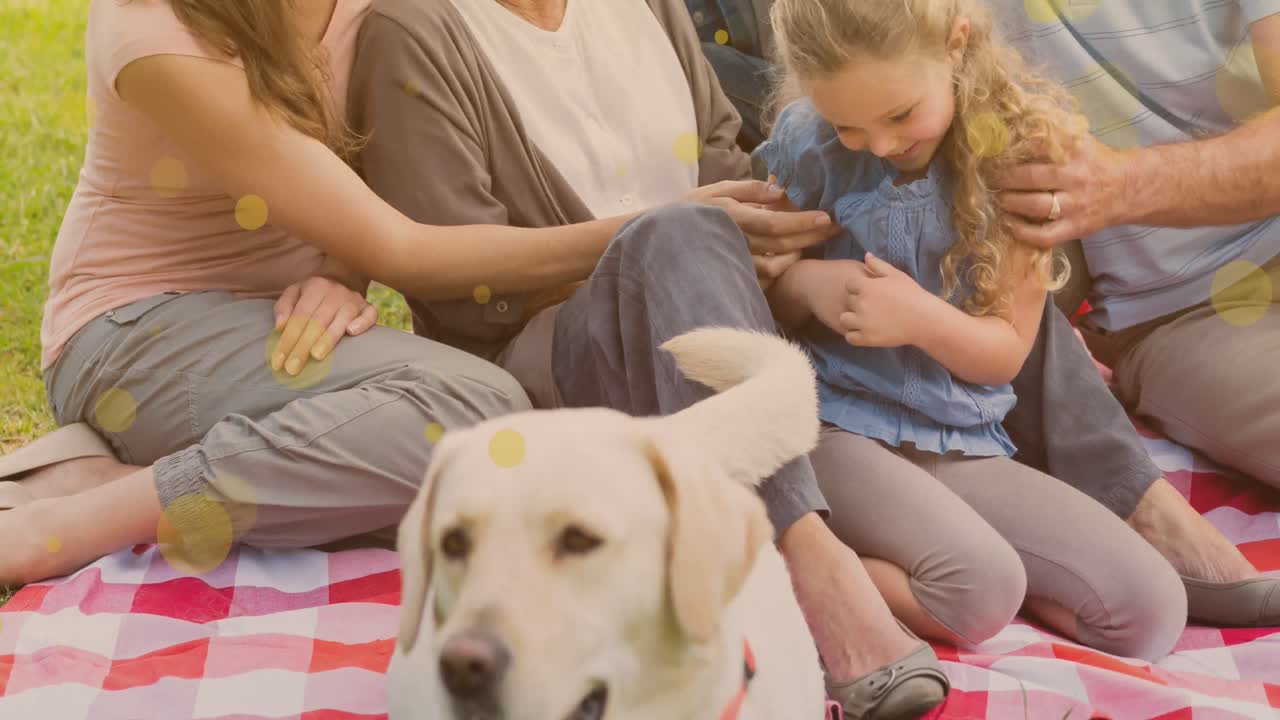 피크닉 을 하는 백인 가족 위 에 있는 빛 의 반점 들 의 애니메이션