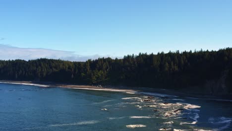 Atemberaubender-Dolly-In-Luftdrohnenaufnahme-Des-Wunderschönen-Third-Beach-In-Forks,-Washington-Mit-Einem-Wald-Oder-Großen-Grünen-Pinien,-Klippen,-Kleinen-Wellen-Und-Goldenem-Schaum-An-Einem-Warmen,-Sonnigen-Sommermorgen