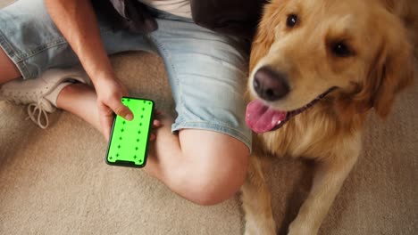 joven con gafas acariciando a un golden retriever sentado en el suelo de la sala de estar. tipo que usa un teléfono inteligente para comprar en línea en una tienda de mascotas, pantalla verde cromo, entregando comida de animales para su amado perro