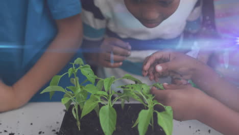 Animation-of-light-trails-over-diverse-schoolchildren-holding-plants