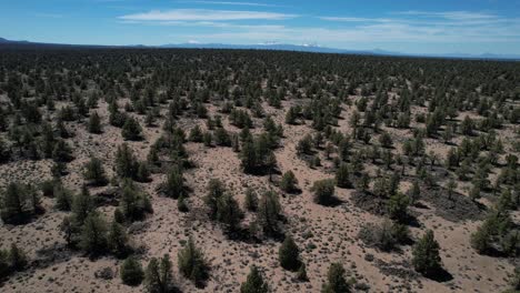 Aerial-shot-of-the-Oregon-high-desert-with-bushes-and-the-Cascade-Mountains-in-the-distance