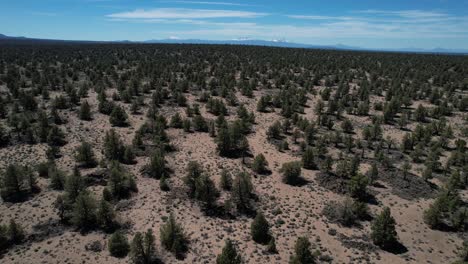 toma aérea del alto desierto de oregon con arbustos y las montañas en cascada en la distancia
