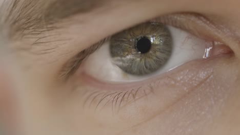 primer plano del ojo de una persona