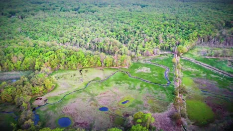 aerial drone video of a thick forest swamp in the lush green marsh of maine. damp wetland with rivers, creeks and ponds during the day in the summer. lots of trees in the jungle