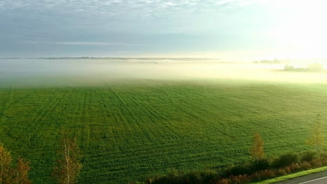 aerial drone forward moving shot over agricultural farmlands covered with white fog on a sunny morning