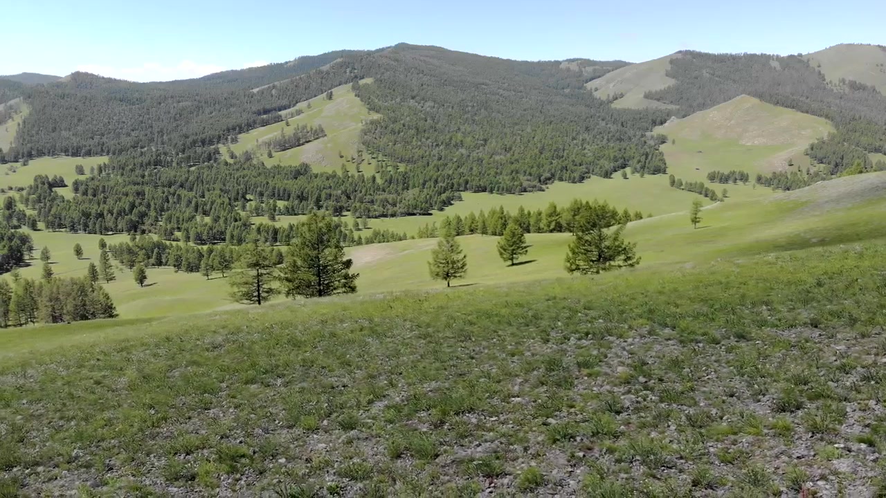 Vista aerea di una valle di montagna verde lussureggiante e foresta.