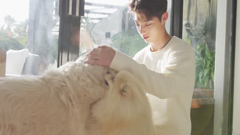 Happy-asian-male-teenager-petting-his-dogs-in-living-room