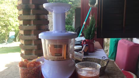 closeup of juicing wild apples with outdoor rural patio background