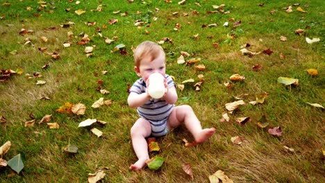 happy toddler boy sitting alone in park drinking milk from bottle spinning in circles in leaves