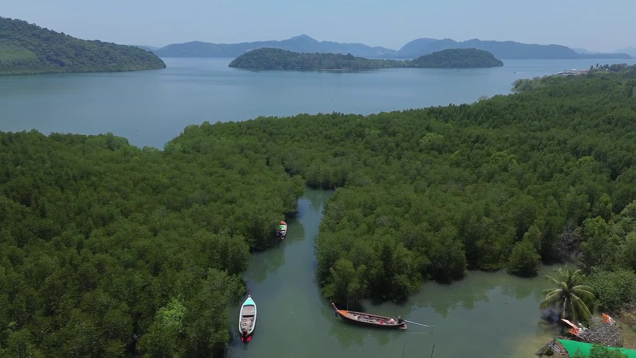 Veduta aerea con drone di una lussureggiante foresta di mangrovie lungo la costa remota dell'isola di Koh Jum, Thailandia. Natura tropicale incontaminata con fitta vegetazione verde, acque costiere calme e senza persone