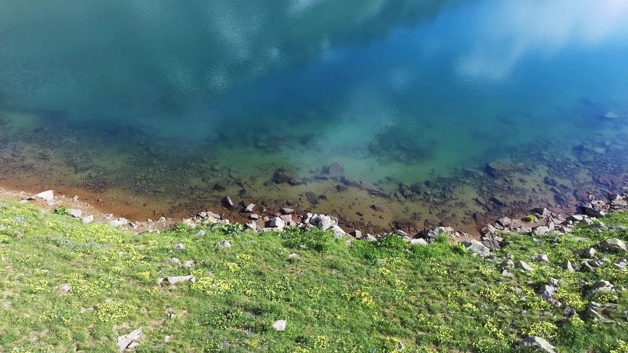 Aerial View of Clear Mountain Lake Shoreline with Green Grass