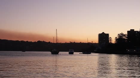 Zeitlupenfilmaufnahmen-Einer-Möwe,-Die-Bei-Sonnenuntergang-In-Sydney,-Australien,-Landet