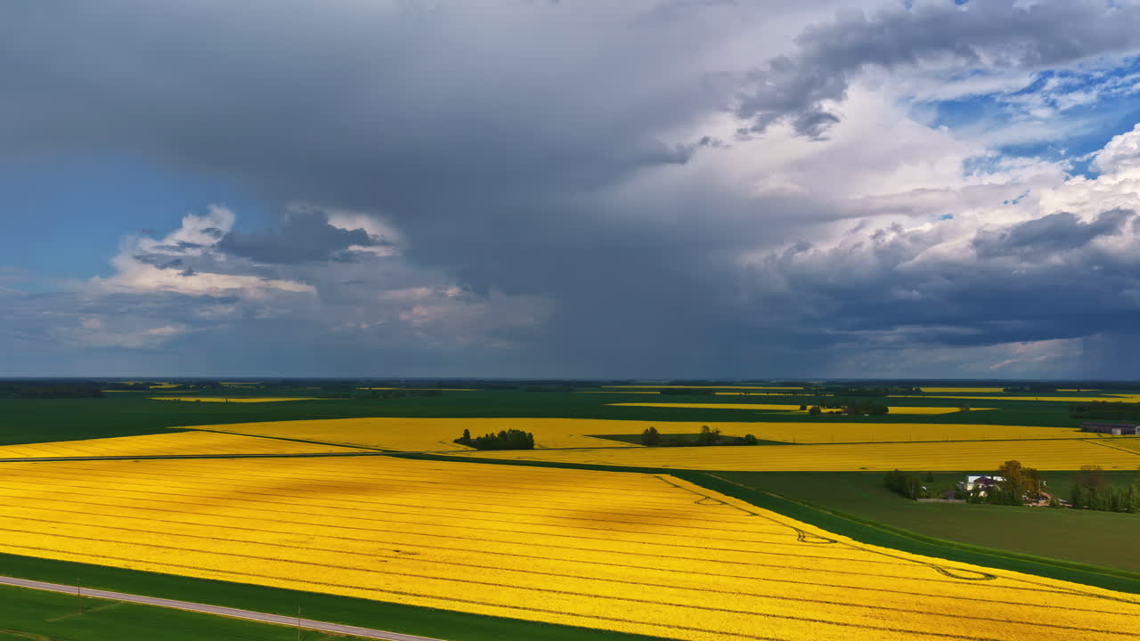 A vast yellow field stretches under a dramatic sky filled with weather-shifting clouds.