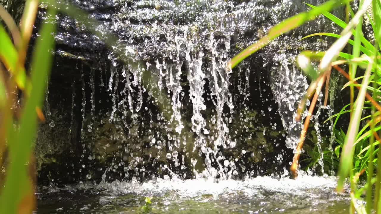 정원에서 작은 폭포