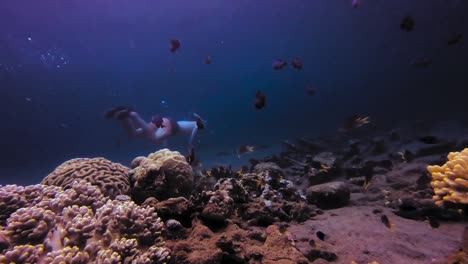 Man-swimming-in-the-coral-reefs-surrounded-by-exotic-fish-to-fin-a-boat-wreck-on-the-ocean-floor