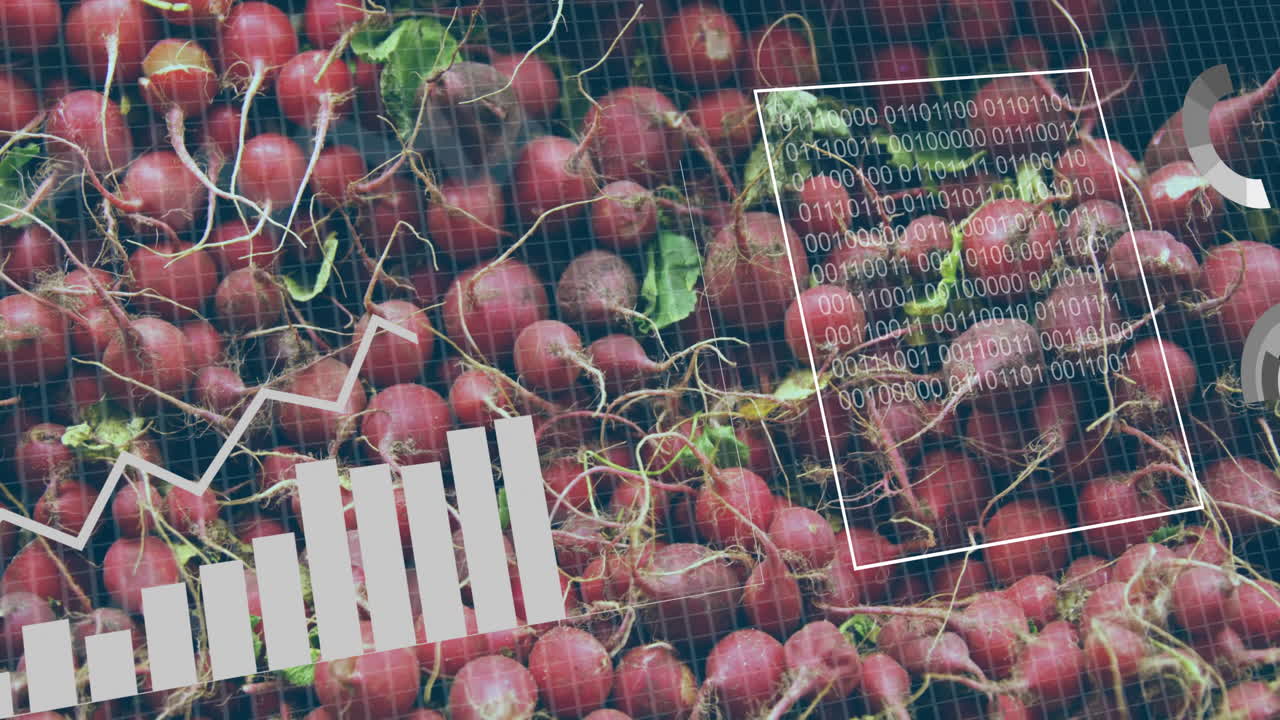 Graph and binary code animation over radishes in agricultural setting