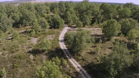 Antena-De-Camino-De-Tierra-Vacío-En-Un-Denso-Bosque-Verde-En-Un-Día-Caluroso-Y-Soleado