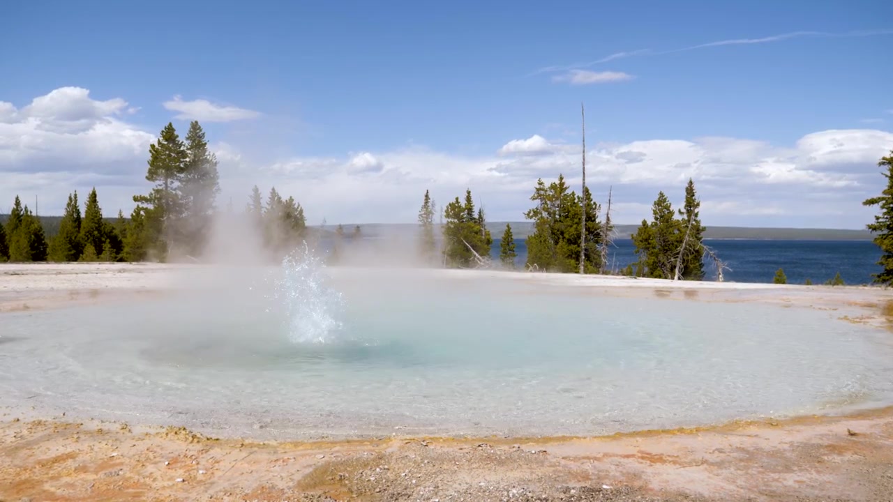 Ledge Spring Hydrothermal In Yellowstone National Park Wyoming
