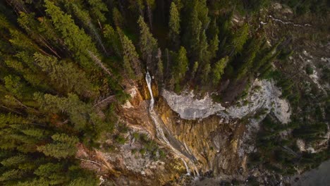 waterfall and forest from above