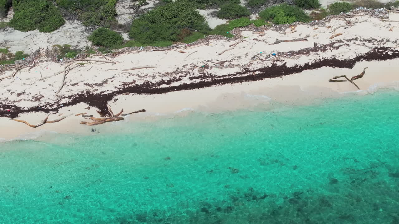 Awesome top view of Catalina beach at sunny day, crystal clear sea and wild sandy beach,Caribbean sea.Catalina island.Dominican Republic.
