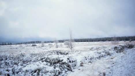 Gefrorene-Bäume-Sind-über-Das-Schneebedeckte-Marschland-Verstreut,-über-Ihnen-Ziehen-Schnell-Ziehende-Wolken-In-Geringer-Höhe