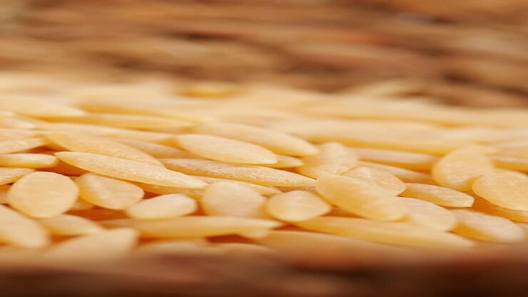 Pasta Orzo