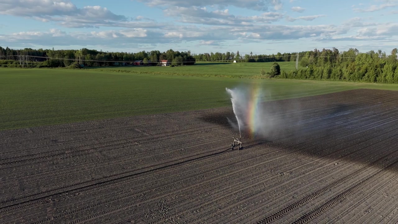 Una ripresa circolare al rallentatore da drone cattura una macchina per l'irrigazione che irriga un campo durante l'ora d'oro.