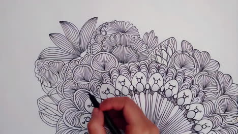 hand drawing intricate abstract floral patterns