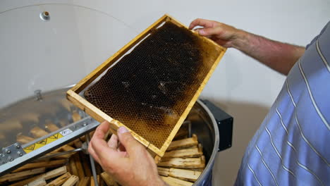beekeeper working with honey frames