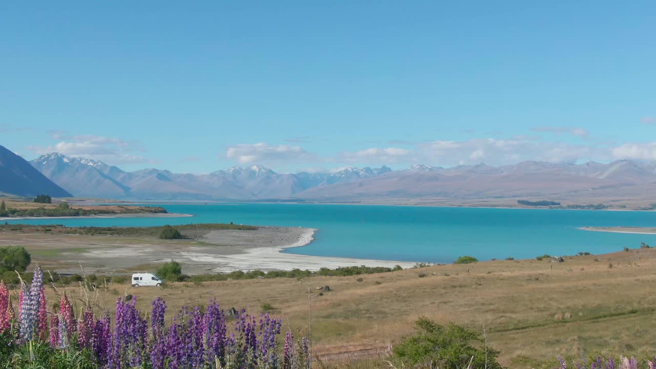 Flyby over Lupins in New Zealand at Lake Tekapo revealing a van