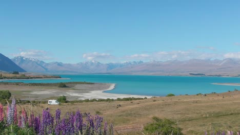 flyby over lupins in new zealand at lake tekapo revealing a van