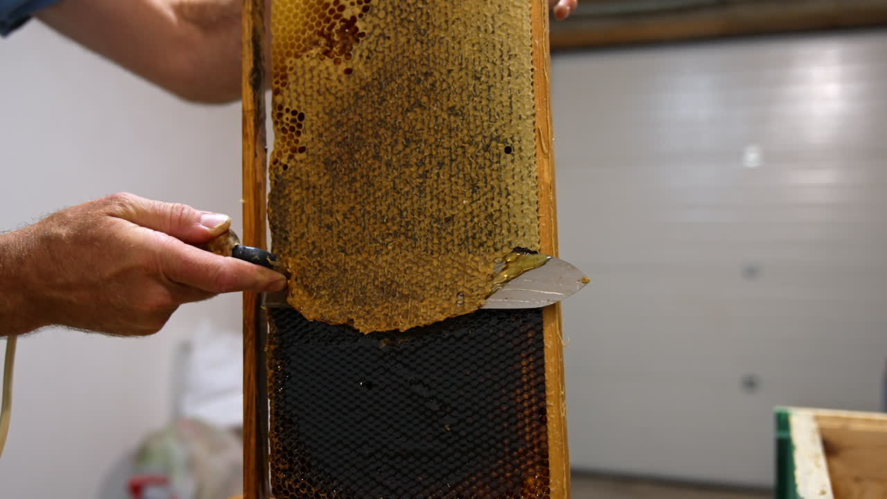 Full honey frame covered with wax covers. Male beekeeper's hand uses knife to uncover the honeycombs for removal of honey. Close up.