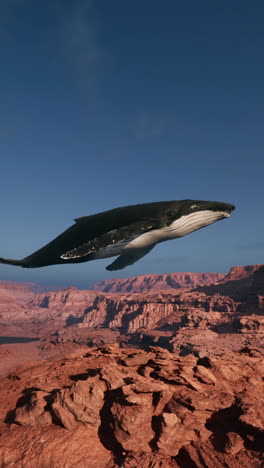 flying whale over a desert canyon