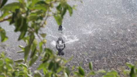 Irrigation system in function watering agricultural plants