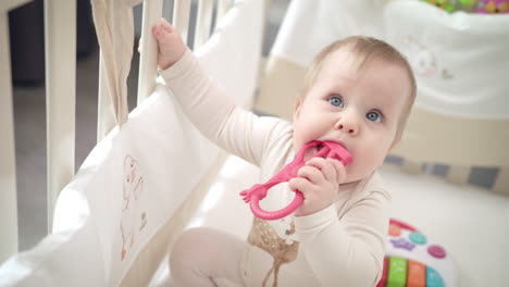 close-up view of little baby playing toys