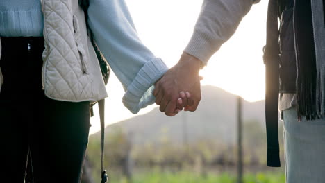 couple, holding hands and love in nature