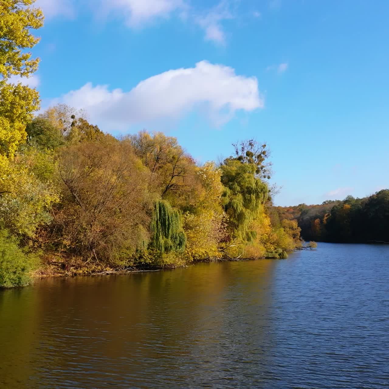Yellow and green trees growing on the waterfront. Colorful forest and blue sky reflecting in the river on sunny autumn day