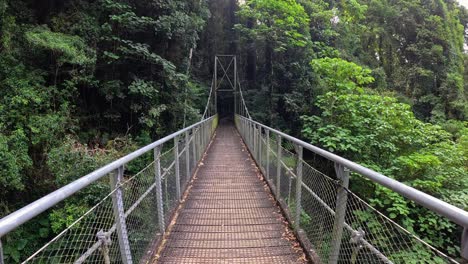a serene walk across a suspension bridge in lush dorrigo rainforest, showcasing vibrant greenery and tranquil surroundings