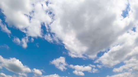 changing shape cloudscape in the blue sky. fluffy clouds float quickly by the horizon. low angle view.
