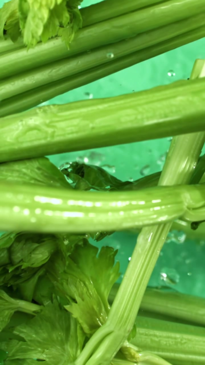 Fresh Green Celery Stalks Being Washed in Water