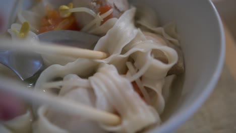 sopa de fideos con bolas de cerdo y fideos asiáticos