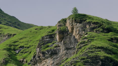 bearded vulture sitting on mountain. panorama shot.