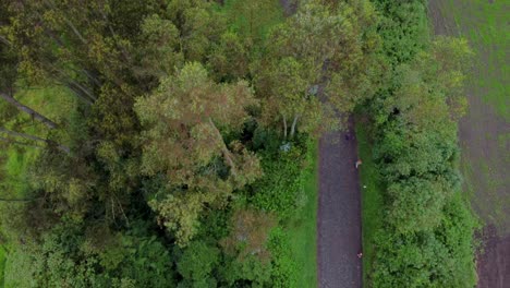 Top-ariel-view-of-the-road-passing-through-the-wilderness-and-fields-in-the-rural-area-of-Barrio-Güitig-at-the-foot-of-Rumiñahui-volcano,-Machachi,-Pichincha,-Ecuador