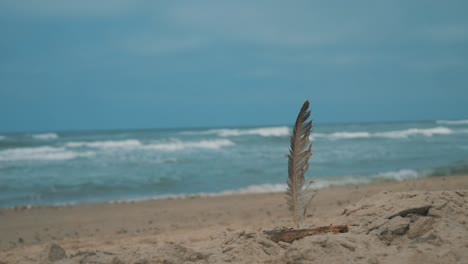 feather-in-sand-in-front-of-the-ocean-wide-shot