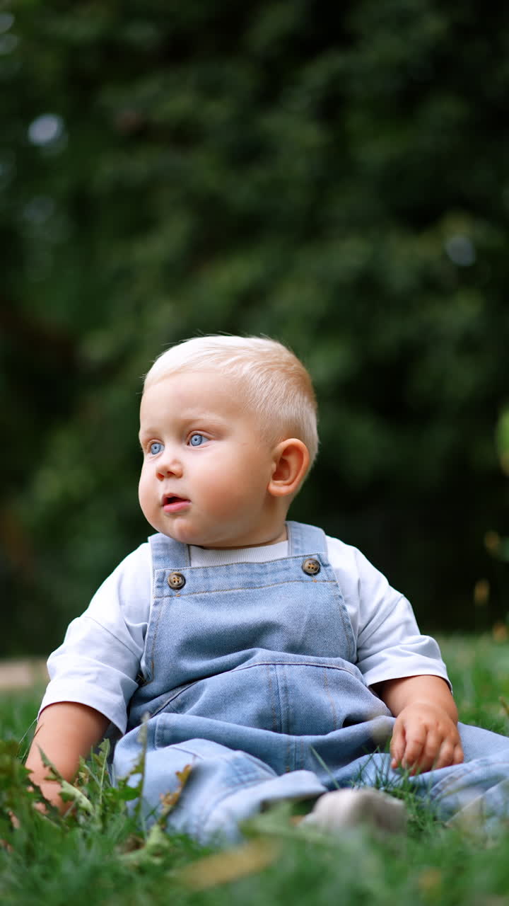 Adorable blond toddler boy with cute plump cheeks sits in the grass. Portrait of a lovely baby in jeans romper sitting outdoors. Blurred backdrop. Vertical video.