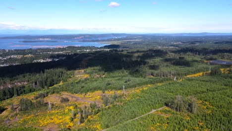 4k aerial footage of the extension ridge area near nanaimo, bc