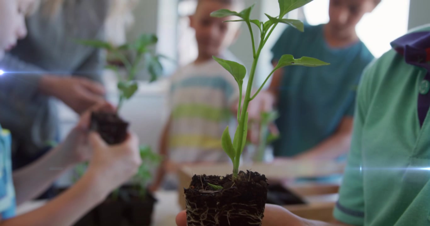 Animation of light trails over diverse schoolchildren and teacher holding plants