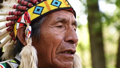 indigenous man in traditional attire shares stories of heritage and culture in forest setting