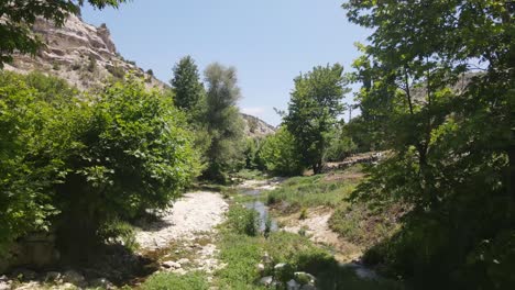 Wasser-Fließt-Durch-Platanen