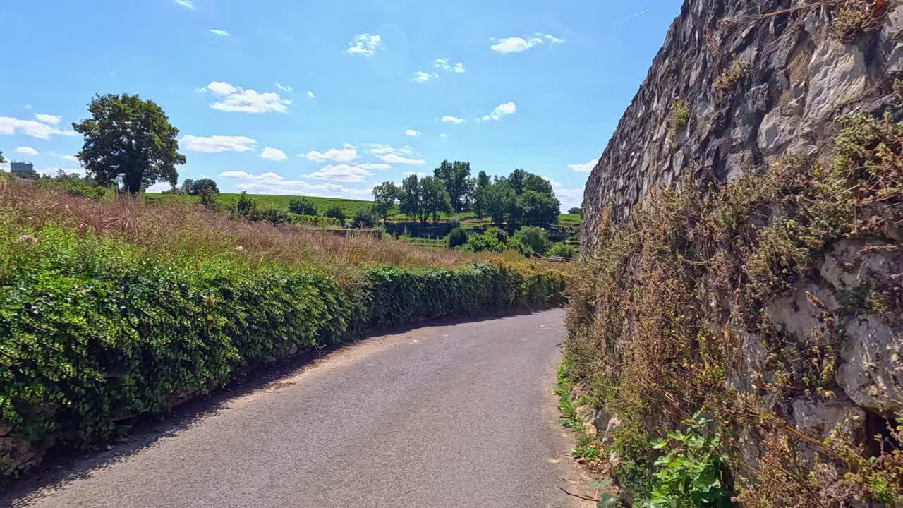 포도으로 둘러싸인 길을 가로질러 평화로운 여행